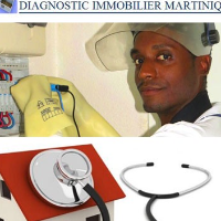 Diagnostiqueur Diagnostic immobilier Martinique